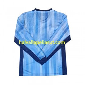 Jalkapallo Pelipaidat/Peliasut Tottenham Spurs Vieraspaita 2024-2025 Pitkähihainen